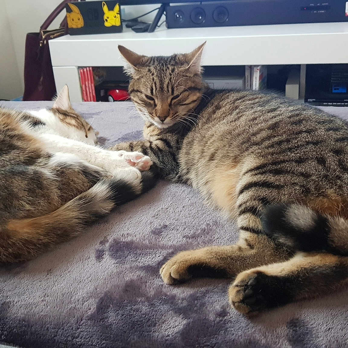 Miyuki Et Amaya