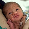 newborn, baby, infant, hospital, feeding_tube, blanket, hand, skin, face, medical_tape, closeup, person, healthcare, fragile, cute, tiny, patient, care, precious, hospital_care