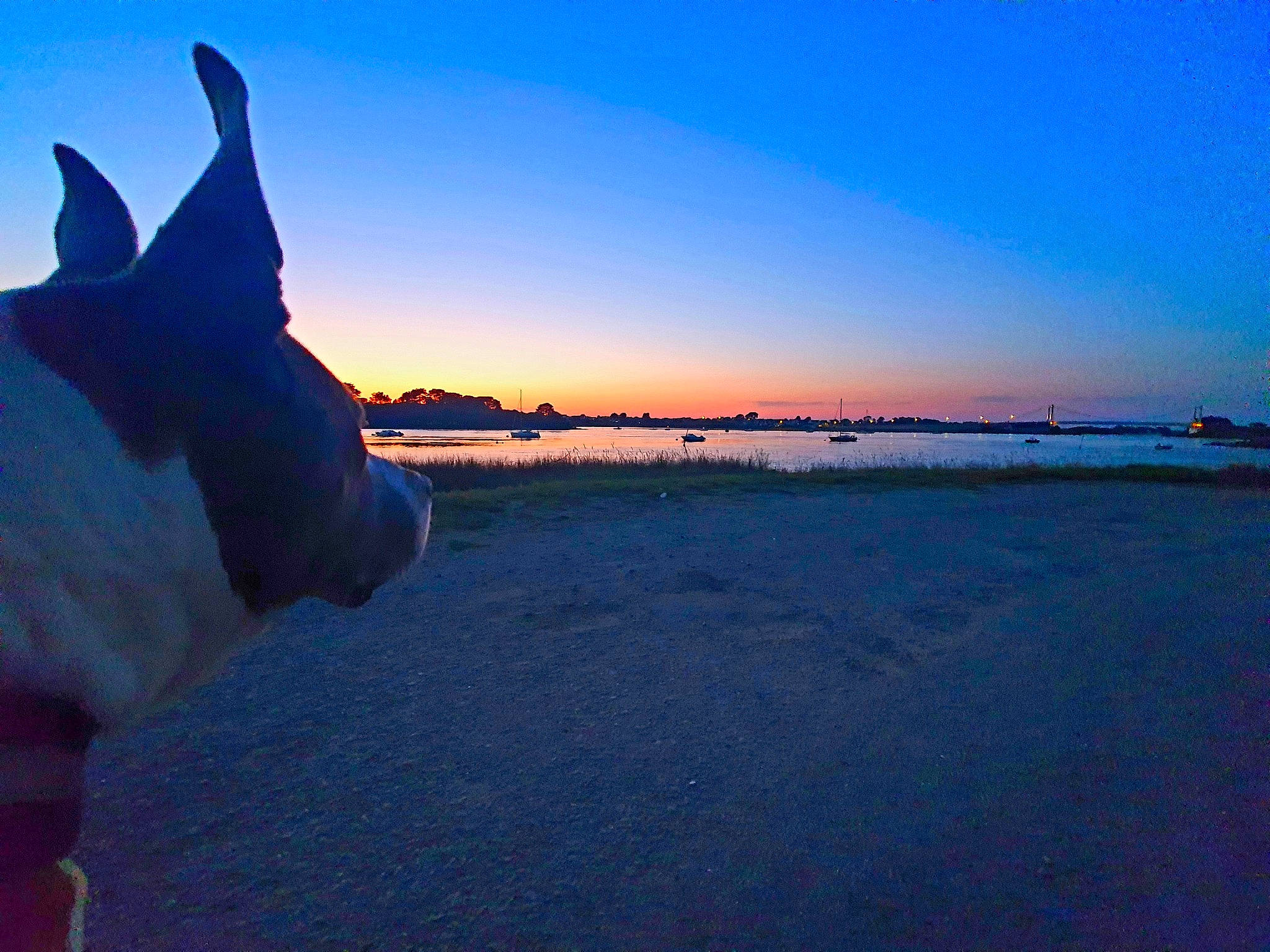 Guizmo participe au concours pour gagner de l'argent avec cette photo : afterglow, atmosphere, beach, carnivore, cloud, dusk, electric_blue, evening, gesture, horizon, human_leg, landscape, ocean, red_sky_at_morning, sand, sky, sunrise, sunset, travel, winter
