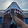 kitten, cat, animal, shark_mouth, building, hand, person, sky, cloudy, teeth, entrance, door, sign, rope, railing, outdoor, funny, playful, illusion, gray_cat
