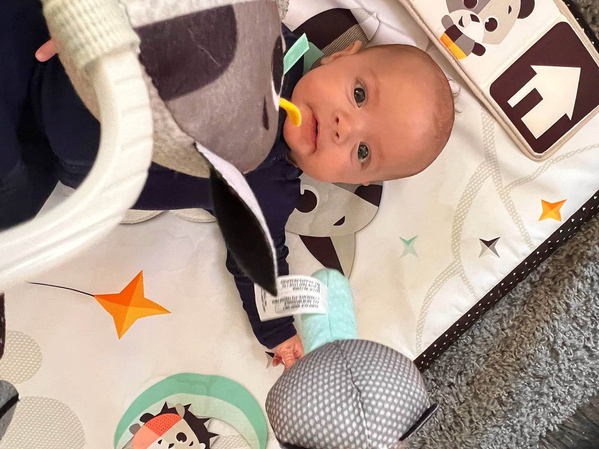 Juniper joined the competition — help win amazing prizes! baby, baby_products, baby_safety, baby_toddler_clothing, ball, carmine, cheek, child, fashion_accessory, font, happy, hat, headgear, linens, logo, person, personal_protective_equipment, room, toddler, toy