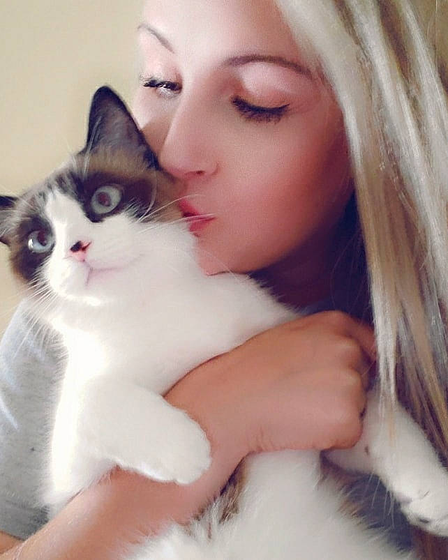 Willow Jade is registered to the contest to win money with this photo: black_hair, blond, brown_hair, carnivore, cat, cheek, eye, face, felidae, fur, iris, kitten, lip, long_hair, mouth, nose, skin, small_to_medium_sized_cats, turkish_van, whiskers