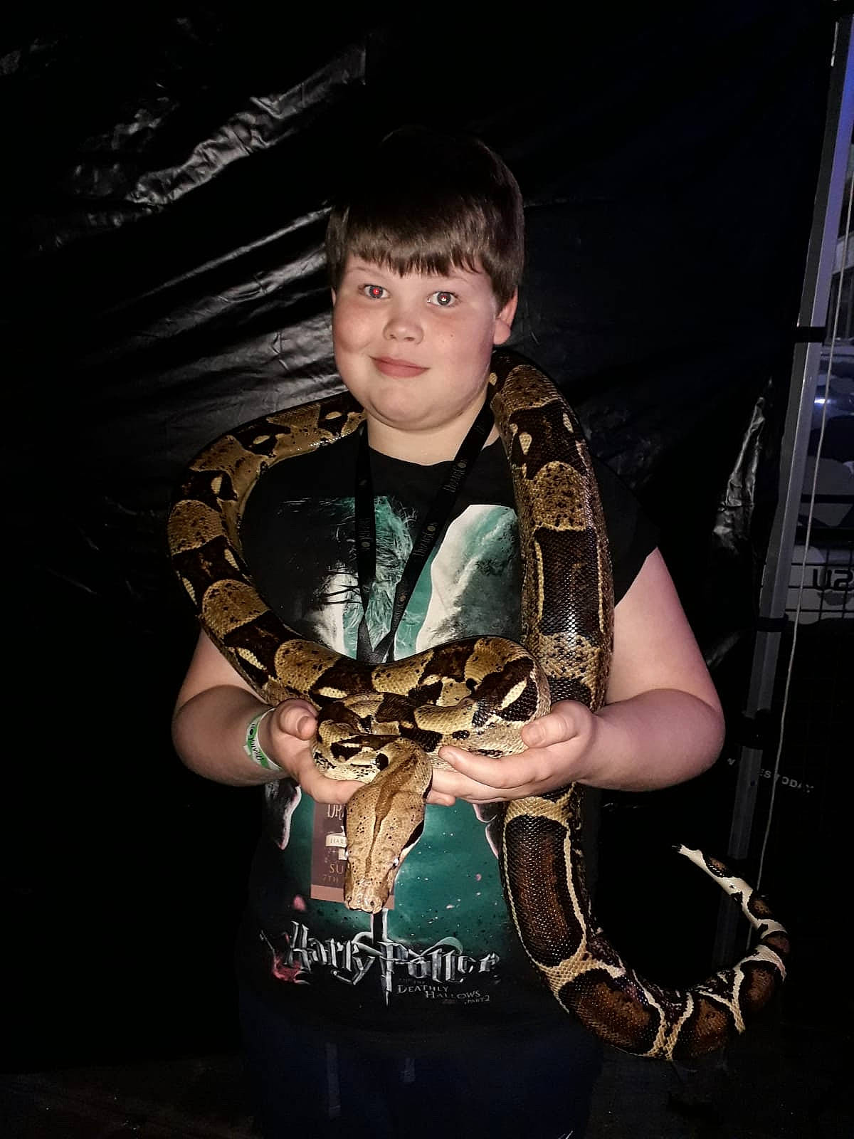 Riley is registered to the contest to win money with this photo: boa, boa_constrictor, burmese_python, compound_bow, joy, person, python, python_family, reptile, rock_python, scaled_reptile, serpent, snake