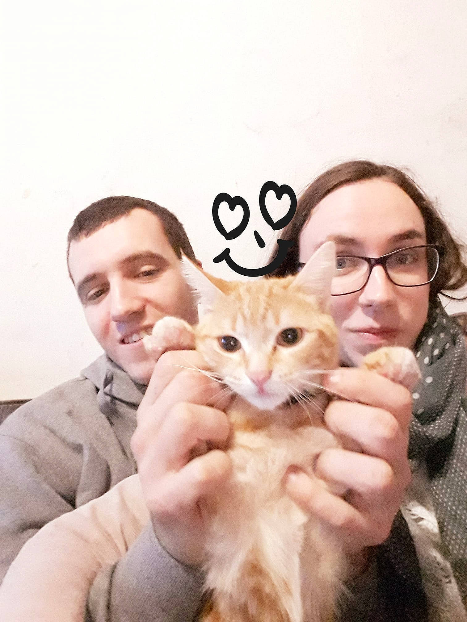 Nina a rejoint le concours — aidez-le/la à gagner de superbes lots ! aegean_cat, asian, burmilla, carnivore, cat, domestic_short_haired_cat, ear, felidae, fur, gesture, nose, photography, singapura, small_to_medium_sized_cats, snout, whiskers