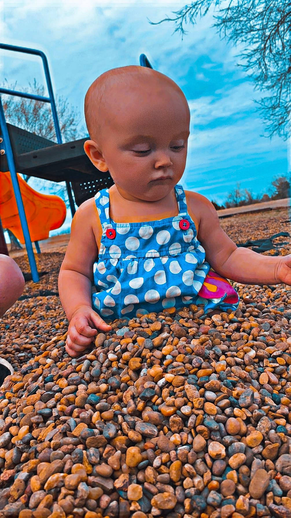 Serenity joined the competition — help win amazing prizes! azure, baby, baby_toddler_clothing, bean, black, child, cloud, electric_blue, fun, happy, ingredient, leisure, natural_foods, people_in_nature, person, plant, sky, summer, toddler, tree