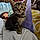 Pixel