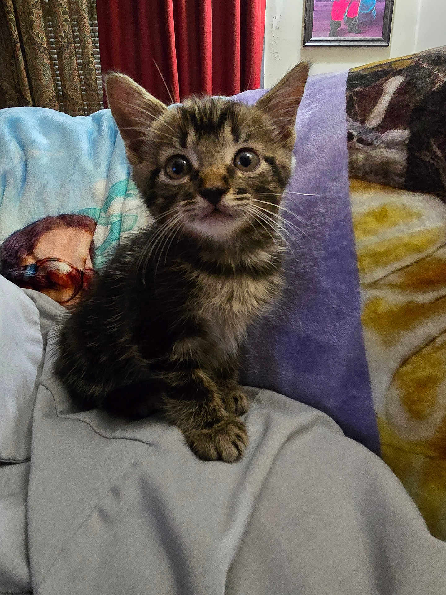 Pixel