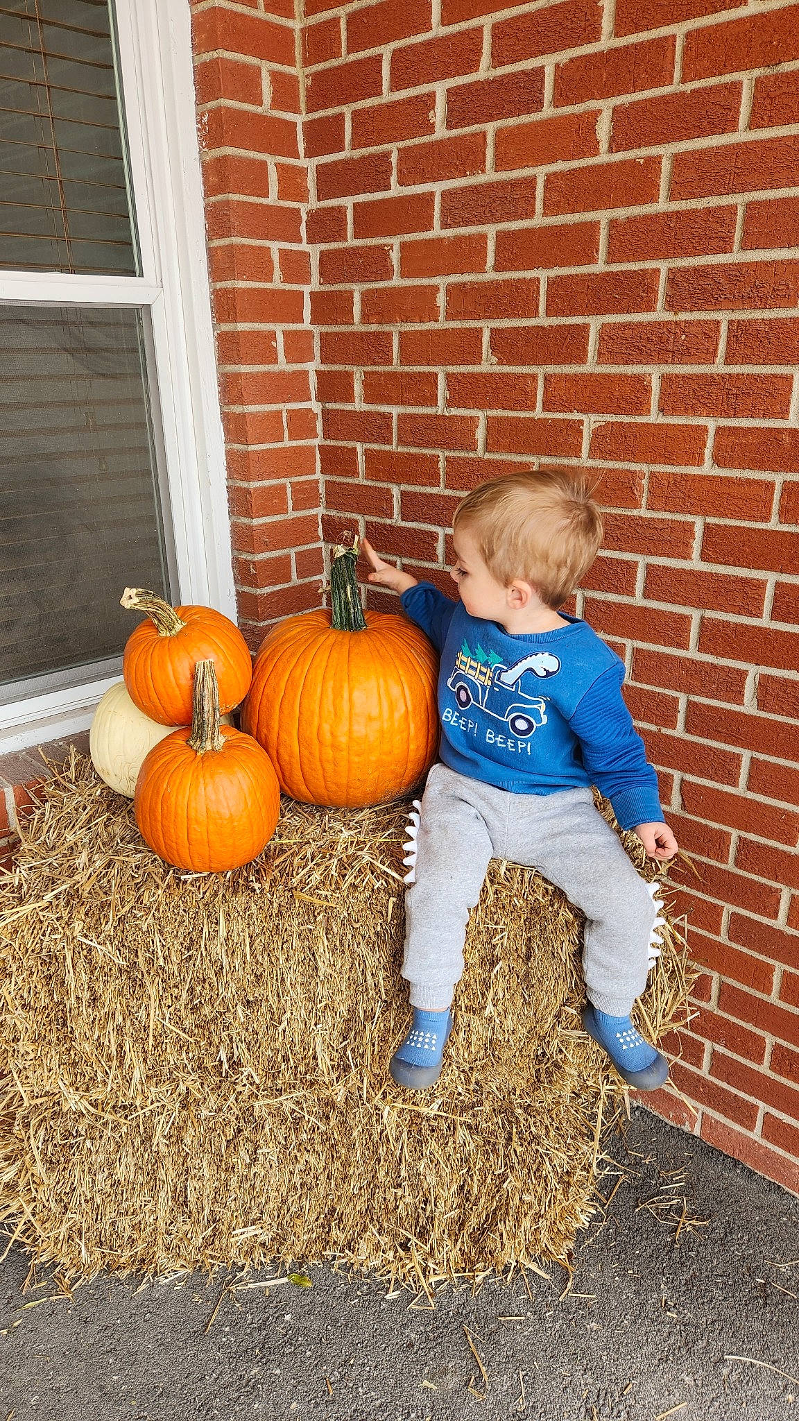 Maverick is registered to the contest to win money with this photo: brick, brickwork, calabaza, cucurbita, door, flooring, gourd, grass, local_food, natural_foods, orange, person, plant, porch, pumpkin, squash, toddler, vegetable, window, winter_squash