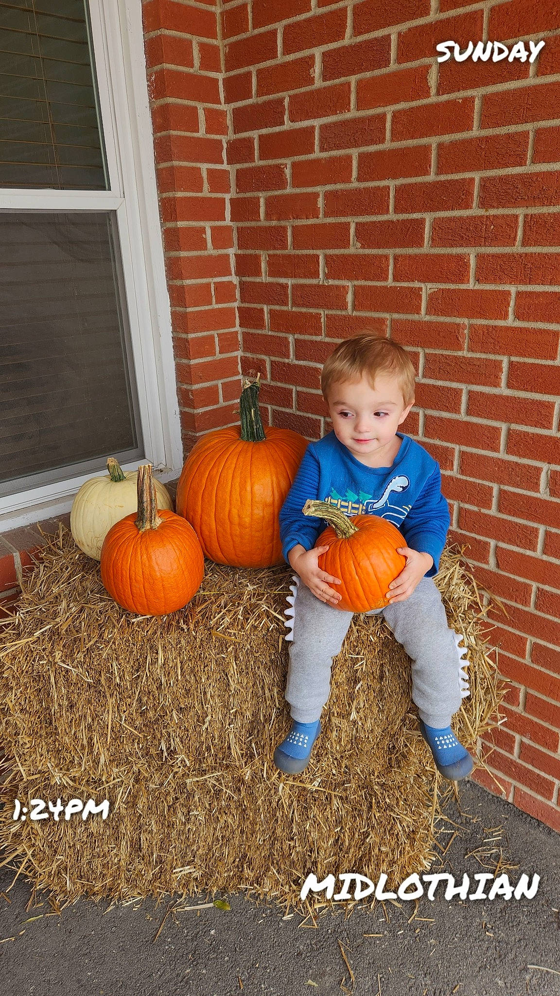 Maverick is registered to the contest to win money with this photo: brick, brickwork, calabaza, cucurbita, door, gourd, grass, happy, human_body, joy, natural_foods, orange, people_in_nature, person, plant, pumpkin, squash, toddler, vegetable, window