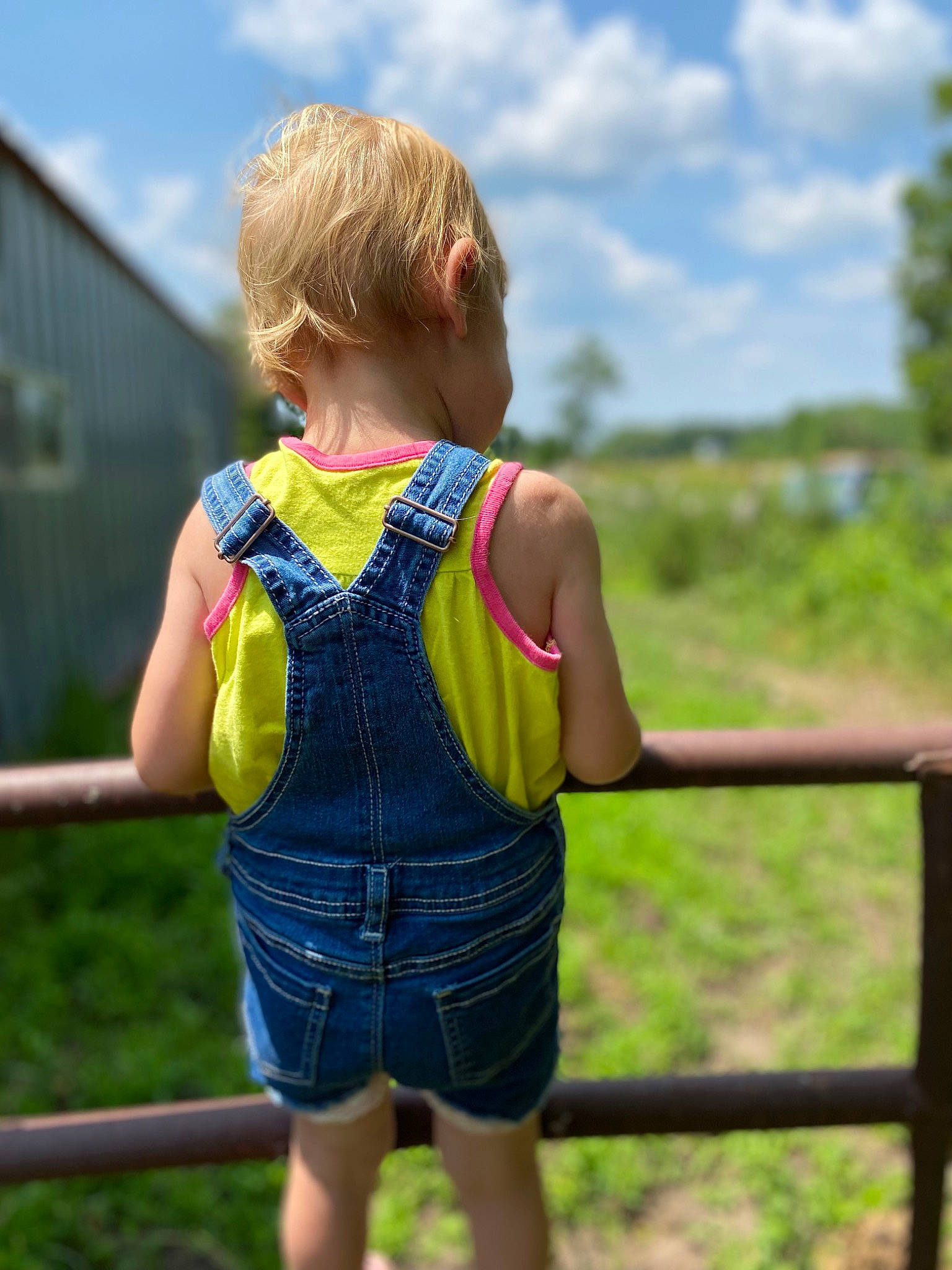 Natalie is registered to the contest to win money with this photo: blond, blue, cloud, denim, electric_blue, fence, grass, grassland, happy, human_leg, landscape, leisure, pattern, people_in_nature, person, plant, recreation, sky, toddler, travel
