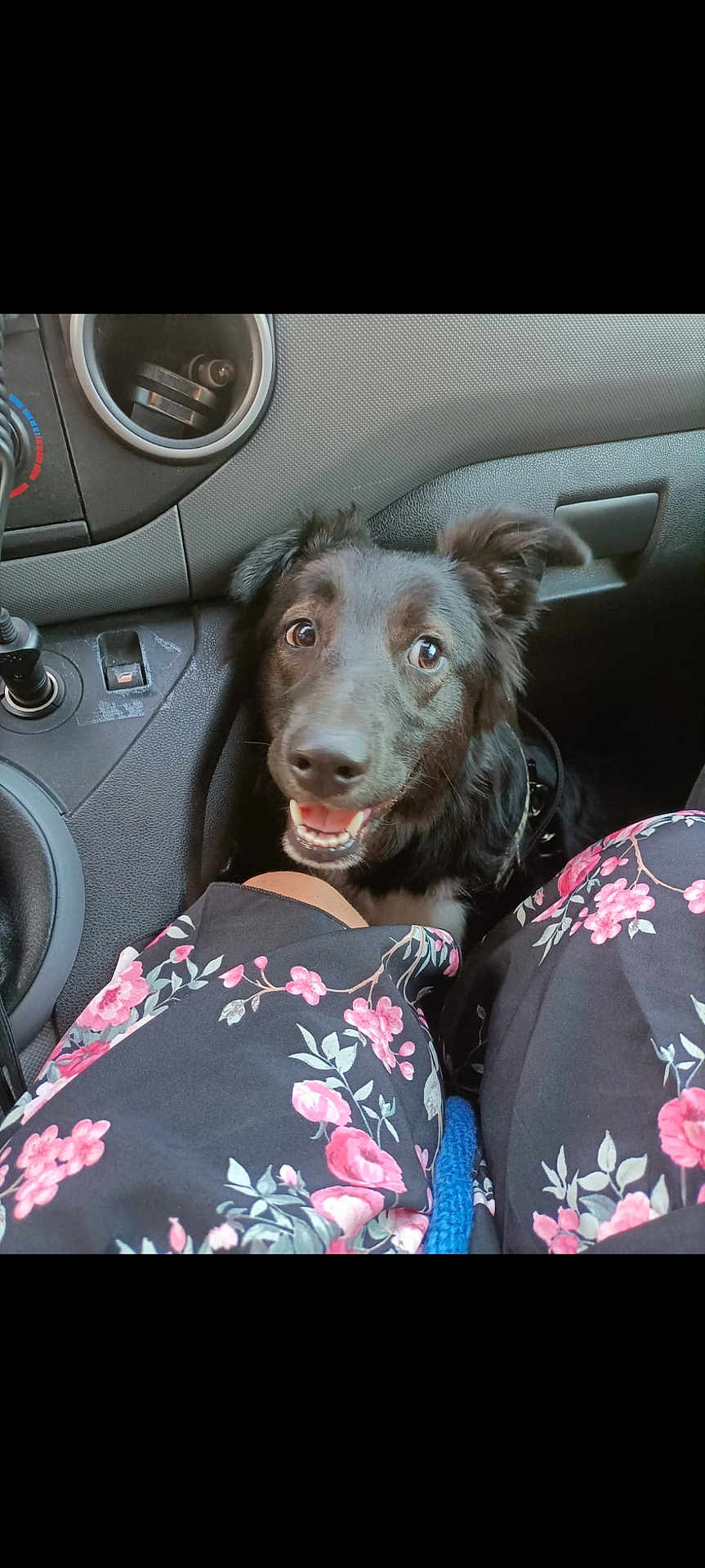Mya