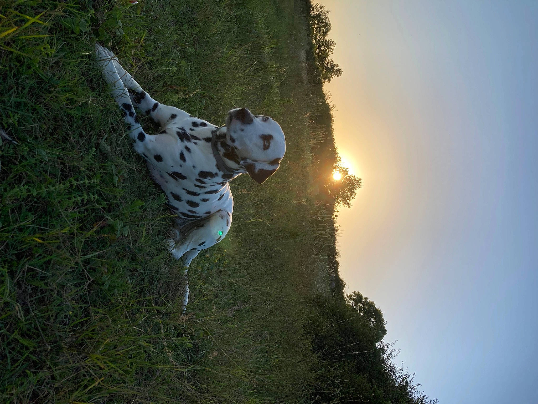 Nalha participe au concours pour gagner de l'argent avec cette photo : adventure, art, backlighting, ball, extreme_sport, fun, grass, grass_family, grassland, happy, landscape, lens_flare, people_in_nature, plant, recreation, reflection, sky, soil, sports_equipment, tree