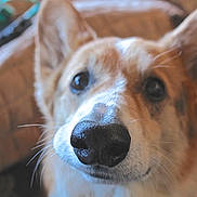 Gary Oscar is registered to the contest to win money with this photo: