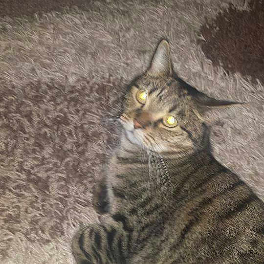 Alfie