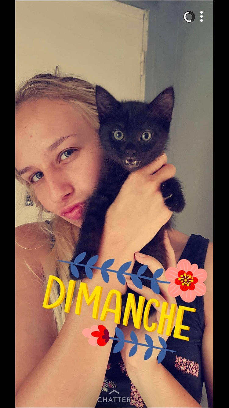 Mowgli a rejoint le concours — aidez-le/la à gagner de superbes lots ! carnivoran, cat, cat_like_mammal, ear, girl, kitten, mammal, person, photo_caption, small_to_medium_sized_cats, vertebrate, whiskers