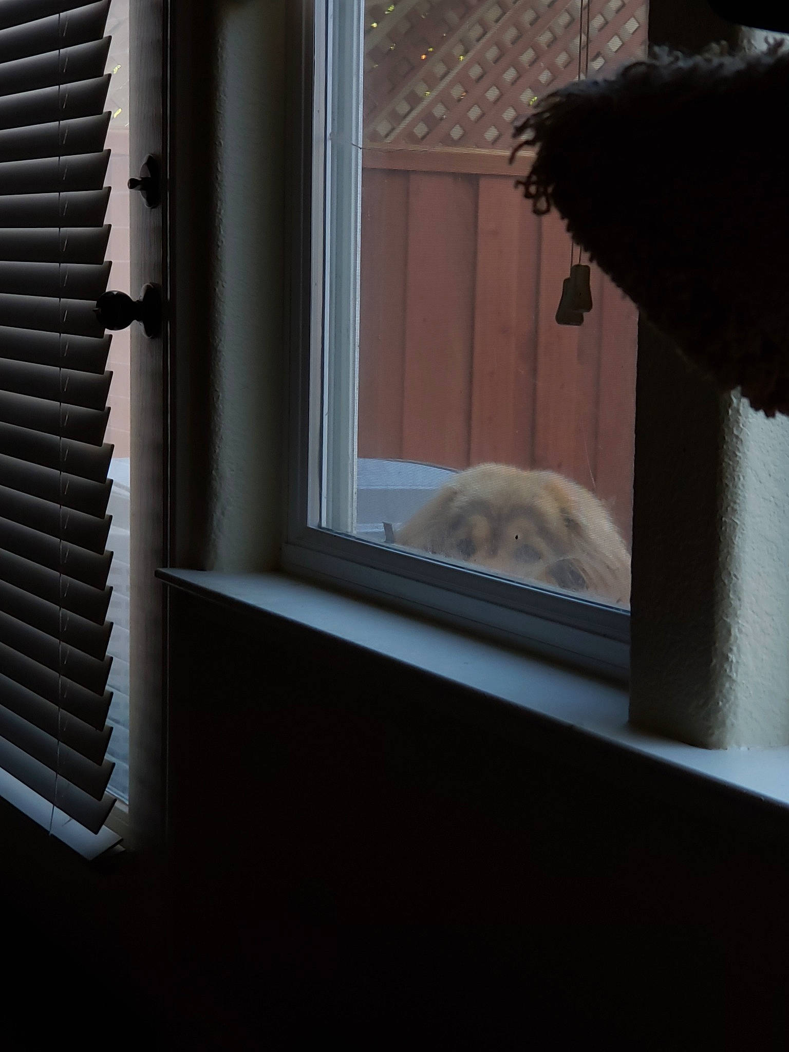 Xandra joined the competition — help win amazing prizes! architecture, daylighting, house, light, room, tints_and_shades, window, window_covering