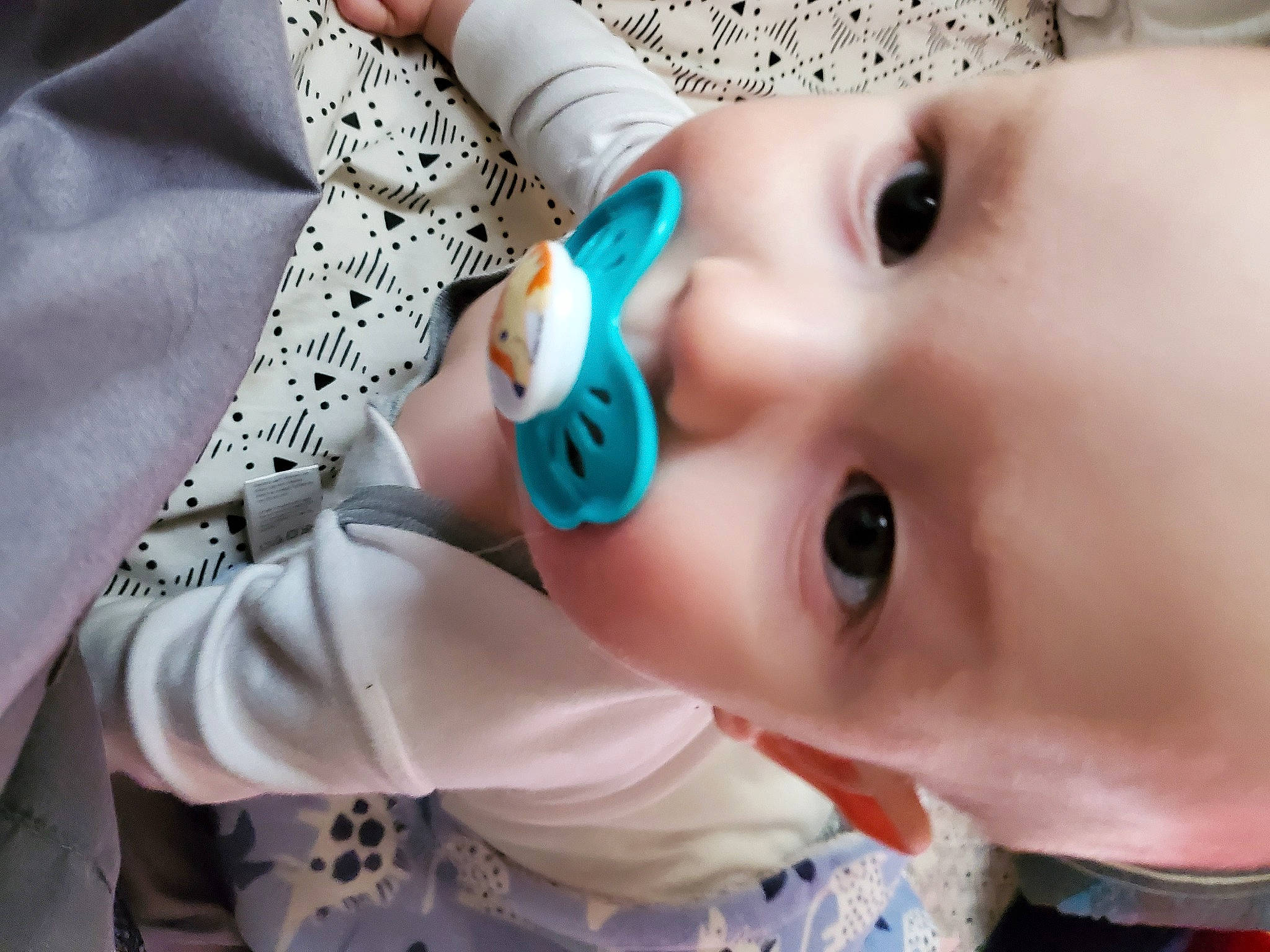 Devon joined the competition — help win amazing prizes! baby, baby_toddler_clothing, cheek, close_up, eyebrow, eyelash, face, finger, gesture, happy, hat, lip, mouth, neck, nose, organ, person, skin, sleeve, toddler