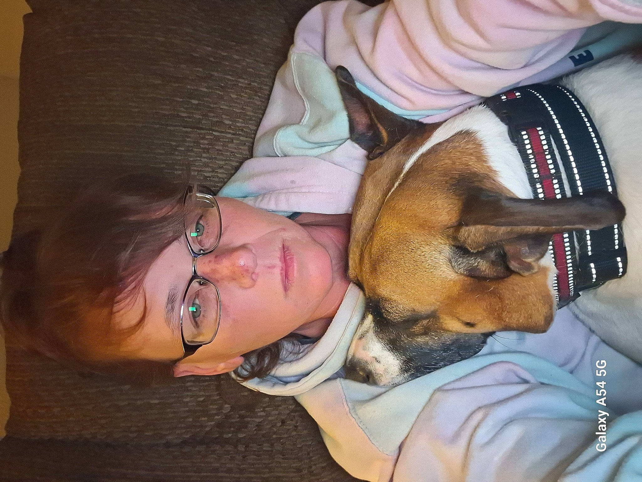 Sasha joined the competition — help win amazing prizes! canidae, carnivore, child, comfort, companion_dog, dog, dog_breed, ear, eyelash, eyewear, fawn, fur, glasses, lap, nail, nap, puppy, snout, sporting_group, wrist