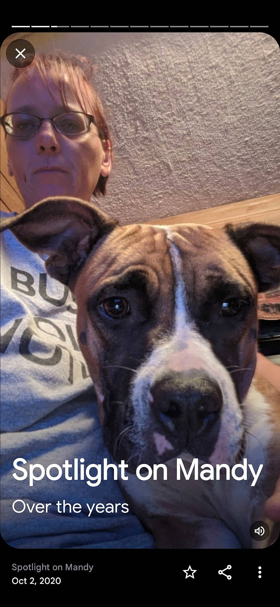 Sasha joined the competition — help win amazing prizes! canidae, carnivore, collar, companion_dog, dog, dog_breed, dog_collar, eyewear, fawn, fur, giant_dog_breed, guard_dog, selfie, sporting_group, sunglasses, terrestrial_animal, whiskers, working_animal, working_dog, wrinkle