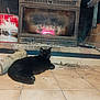 black_cat, cat, fireplace, fire, logs, wood, tiled_floor, indoor, cozy, home, pet, animal, resting, warm, brick, container, paint_can, cord, household, relaxing