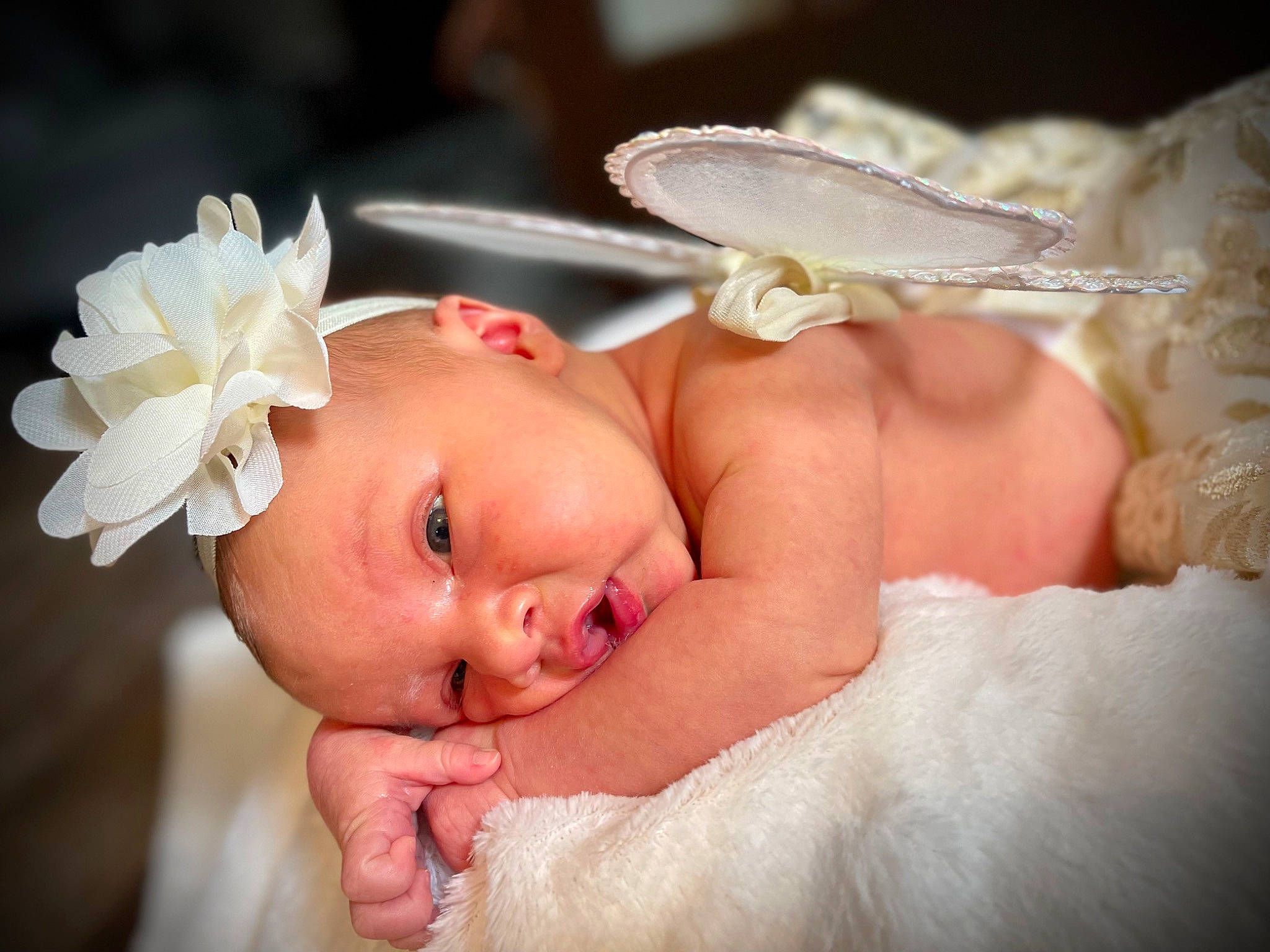 Blair is registered to the contest to win money with this photo: arm, baby, baby_toddler_clothing, cheek, child, comfort, ear, eye, eyelash, finger, flash_photography, flower, hand, happy, headgear, headpiece, lip, person, skin, textile