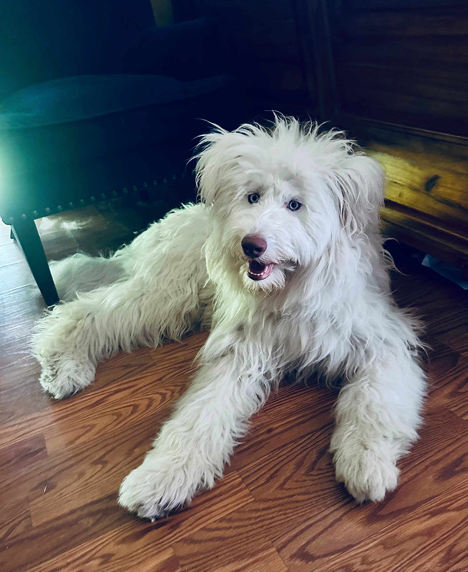 Sophie