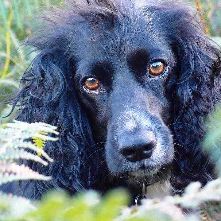 Tegan joined the competition — help win amazing prizes!