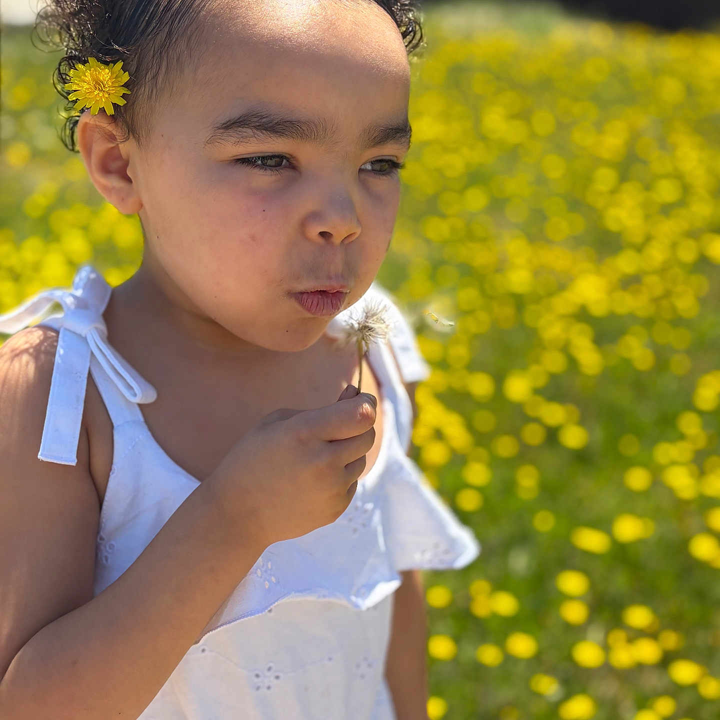 Loialti joined the competition — help win amazing prizes! child, curly_hair, flower, dandelion, white_dress, outdoor, yellow_flowers, field, sunlight, nature, portrait, person, summer, greenery, cute, flower_in_hair, blowing, close_up, happy, daytime