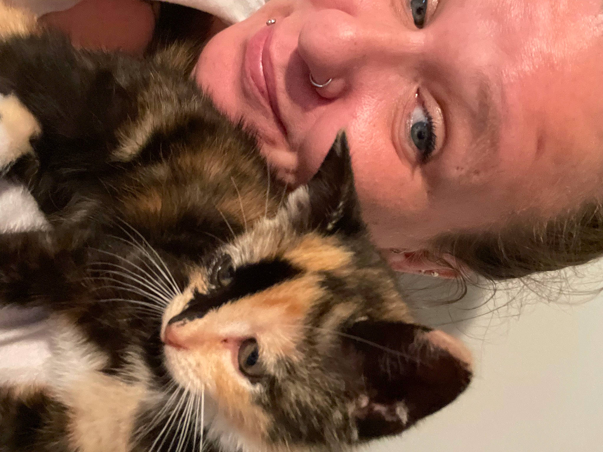 Dahlia is registered to the contest to win money with this photo: carnivore, cat, close_up, comfort, ear, eye, eyelash, felidae, gesture, hair, hairstyle, happy, head, iris, nose, skin, small_to_medium_sized_cats, smile, snout, whiskers