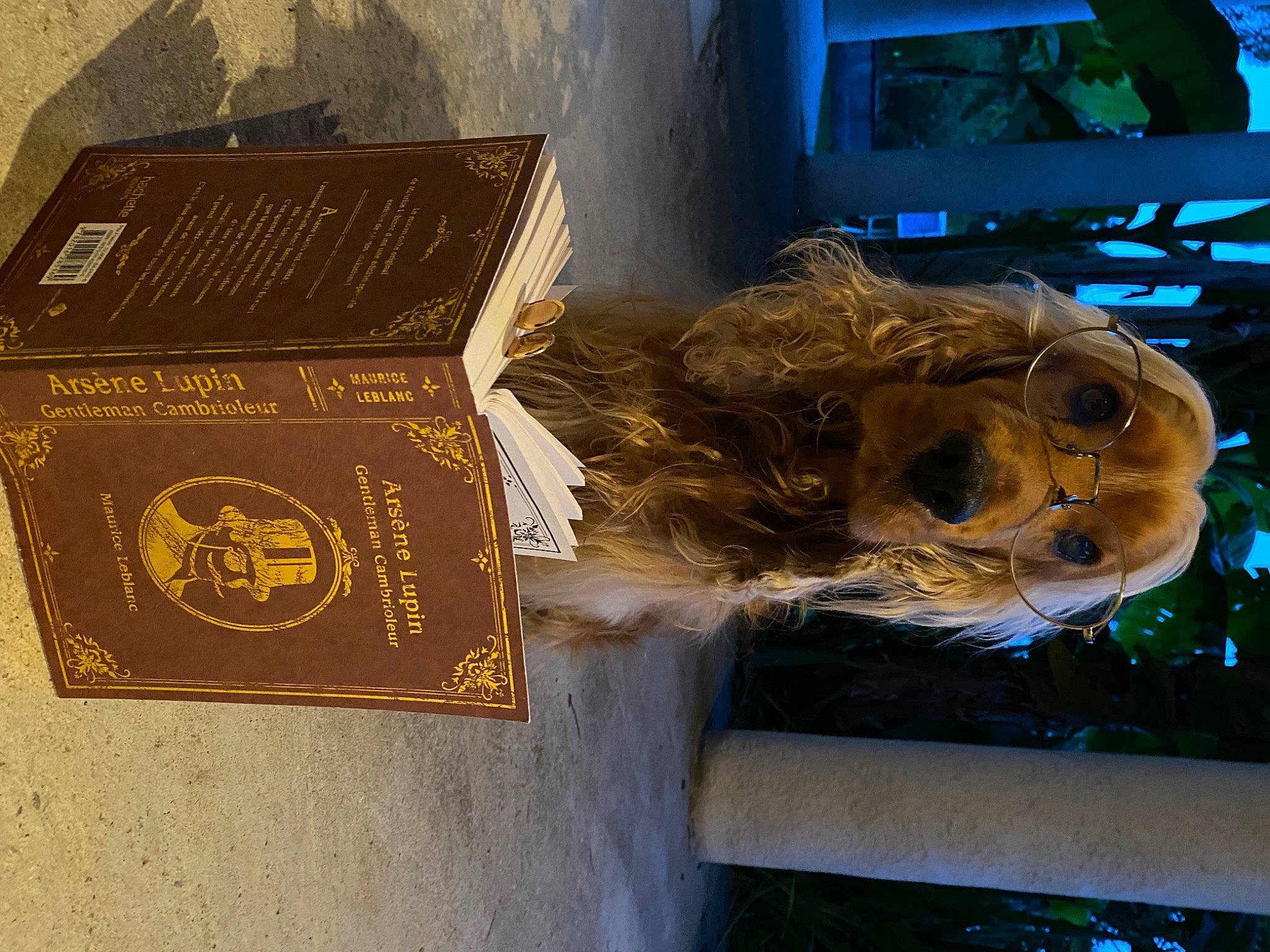 Lover a rejoint le concours — aidez-le/la à gagner de superbes lots ! art, artifact, carving, font, fur, hat, metal, sculpture, statue, television, visual_arts, wood