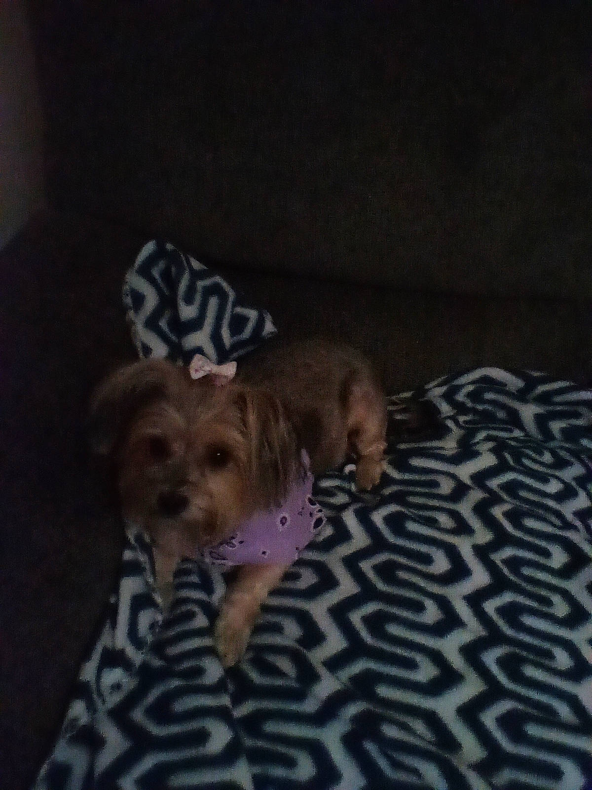 Zoey