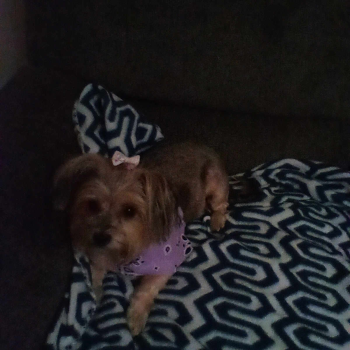 Zoey