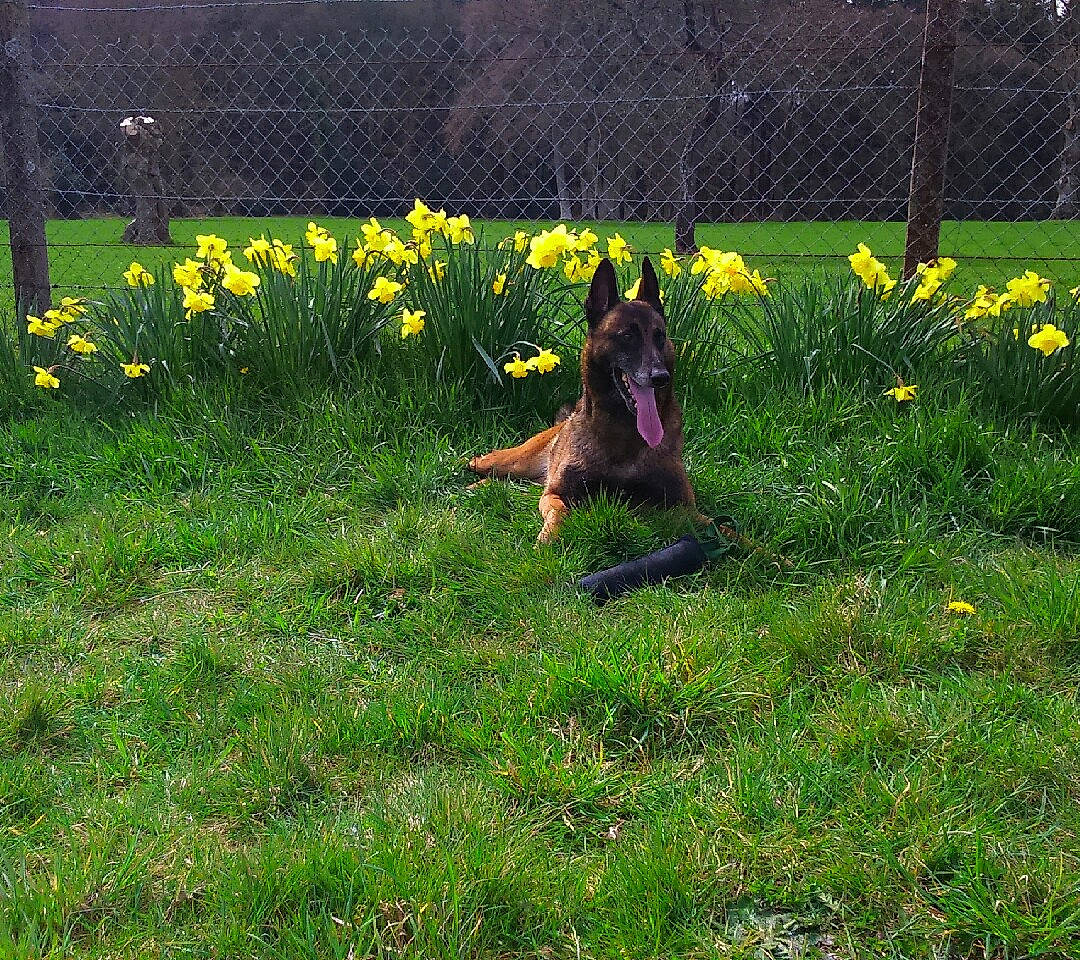 Delta participe au concours pour gagner de l'argent avec cette photo : annual_plant, field, flower, flowering_plant, grass, grassland, groundcover, herbaceous_plant, landscape, lawn, meadow, natural_landscape, pasture, people_in_nature, petal, plant, prairie, shrub, tail, terrestrial_plant