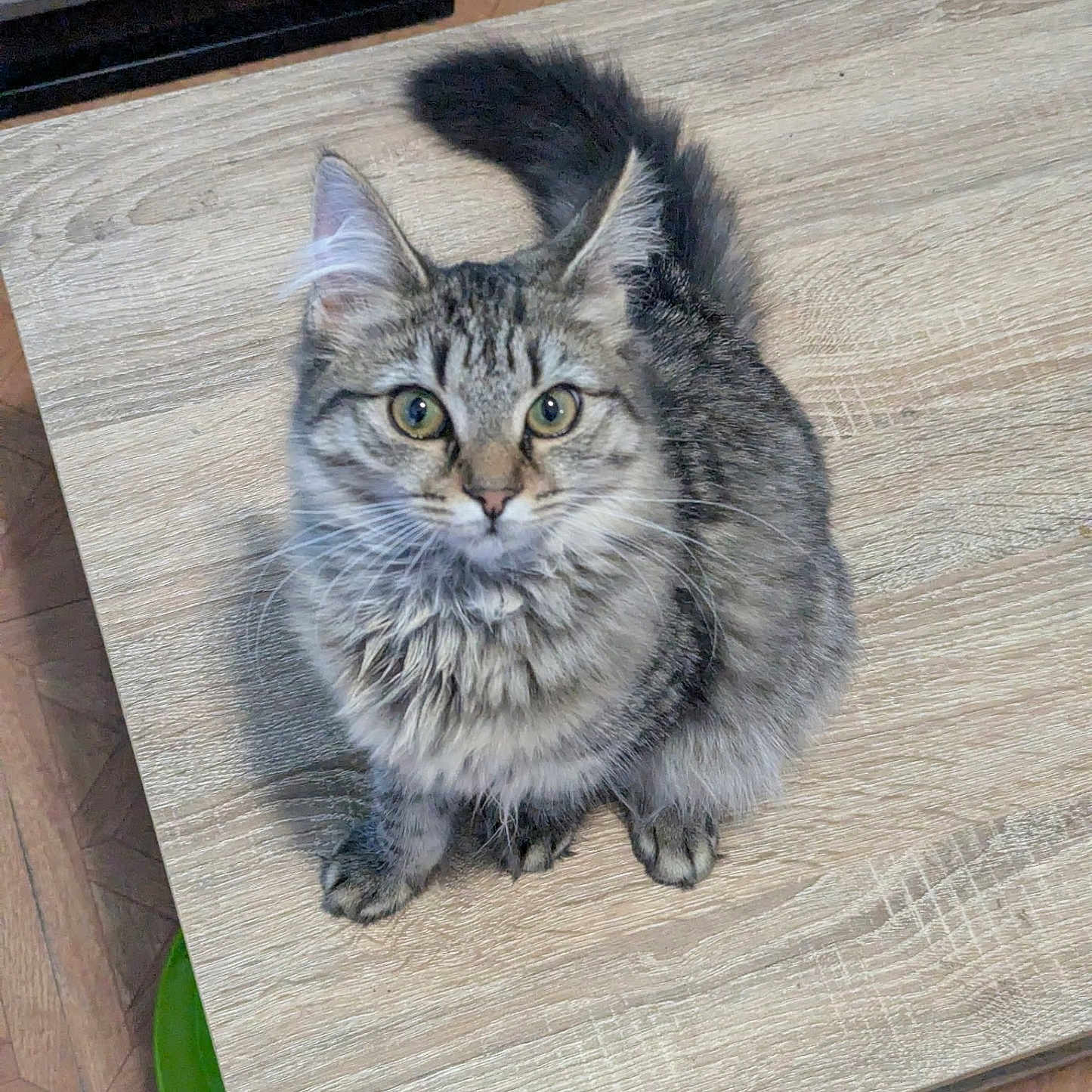 Lucy