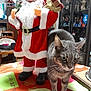 cat, tabby_cat, santa_claus_figurine, tablecloth, indoor, decorations, figurine, furniture, cabinet, collectibles, holiday, christmas, curious, animal, pet, whiskers, ears, standing, orange, red