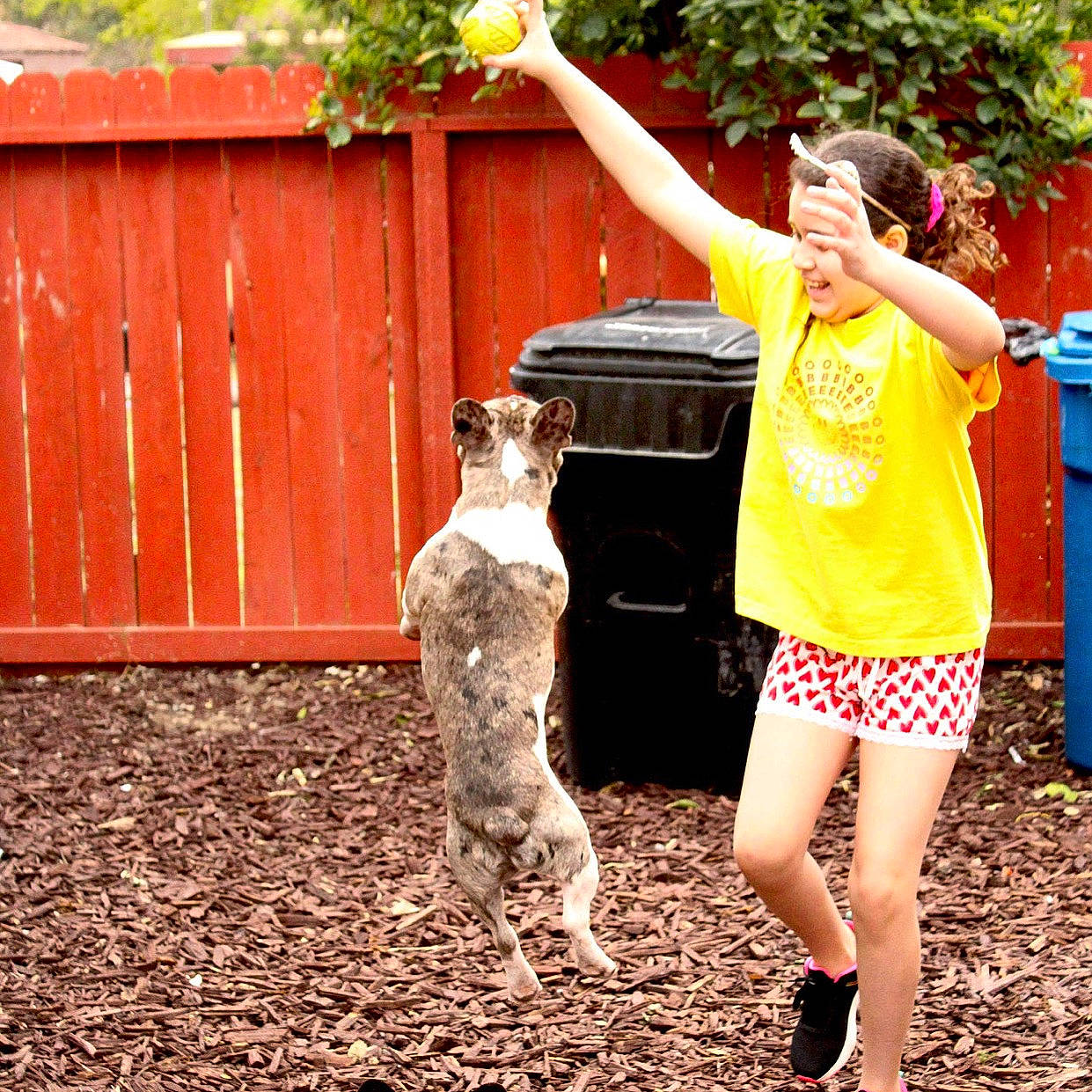 Chapo is registered to the contest to win money with this photo: barefoot, carnivore, cat, fawn, felidae, gesture, grass, green, happy, leg, leisure, people_in_nature, plant, recreation, sandal, smile, sneakers, t_shirt, thigh, waist