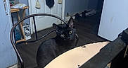 Chanel joined the competition — help win amazing prizes! black_cat, cat, chair, table, indoor, kitchen, refrigerator, door, curtain, wooden_floor, side_table, papers, metal_chair, yellow_eyes, pet, domestic_animal, furniture, home_interior, floor, wall