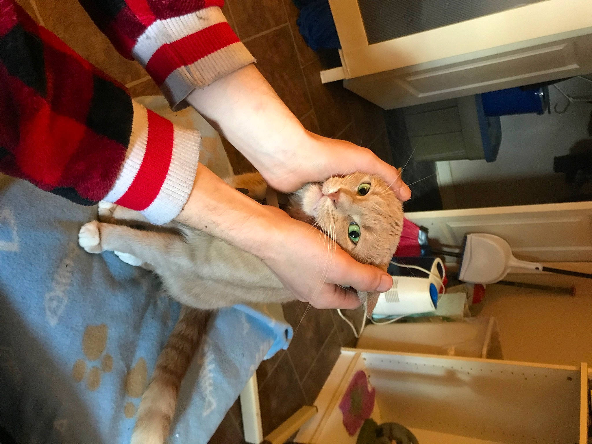 Yukon joined the competition — help win amazing prizes! carmine, cooking, finger, flesh, food, glove, hand, human_leg, kitchen, kitchen_appliance, machine, nail, recipe, room, safety_glove, science, service, thumb, wood, wrist