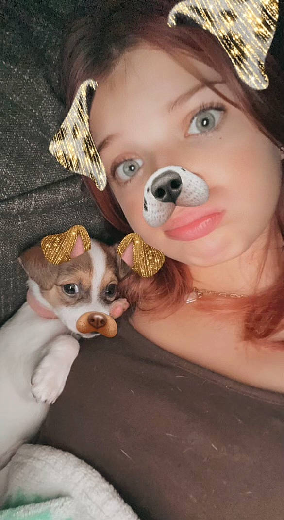 Buttercup is registered to the contest to win money with this photo: carnivore, companion_dog, dog, dog_breed, ear, eye, eyelash, fawn, fedora, happy, hat, jewellery, mammal, nose, organ, skin, snout, sun_hat, toy_dog, whiskers