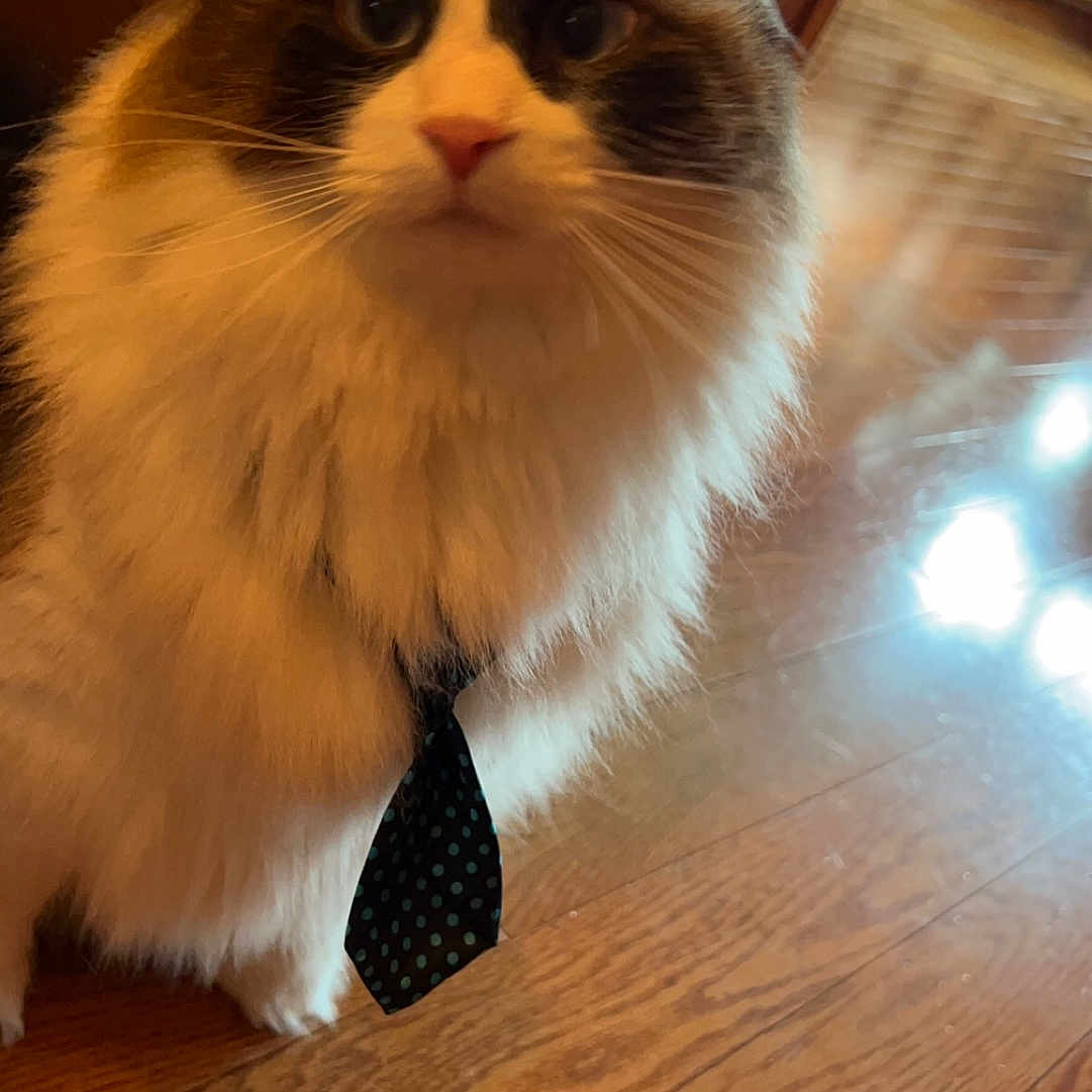 Max