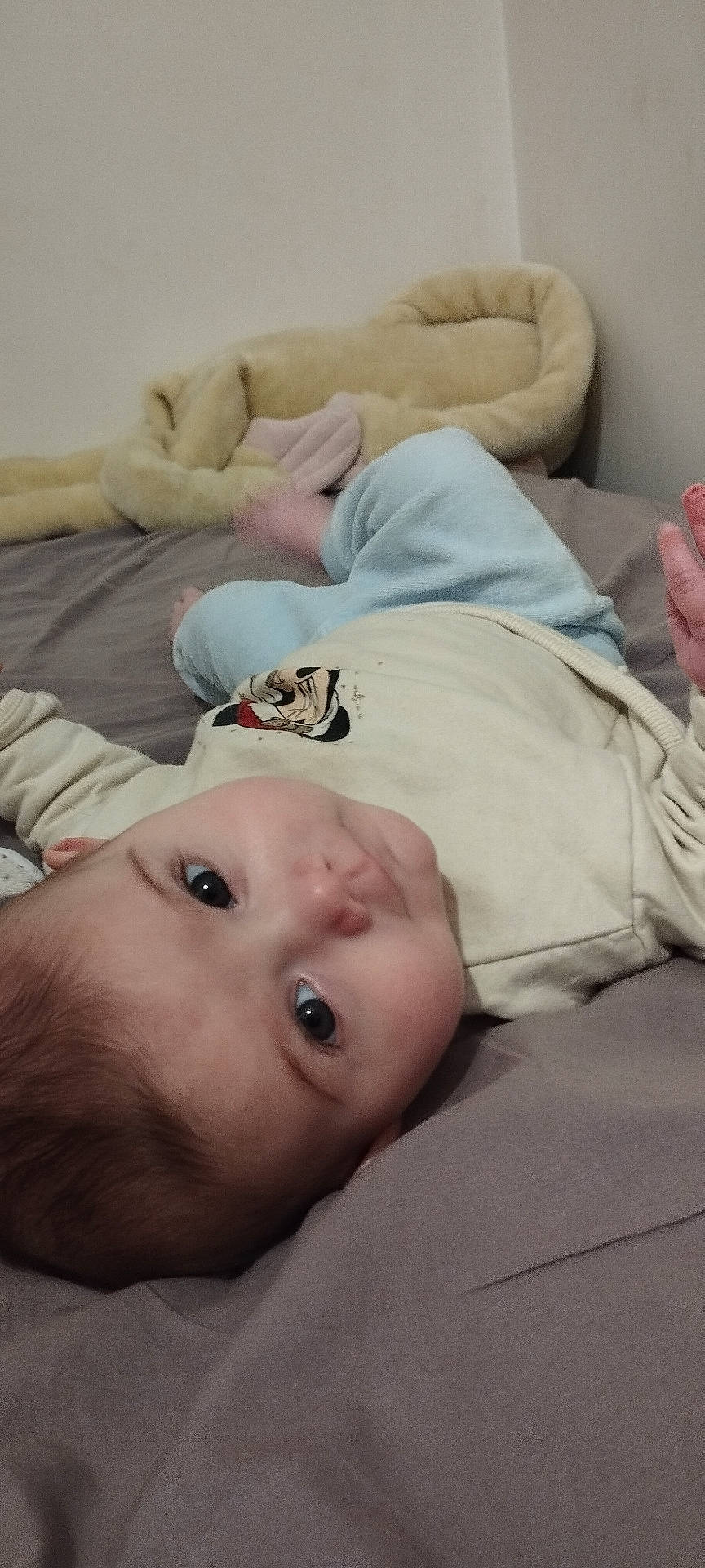 baby, bed, bedroom, blanket, bodypart, couch, cushion, face, finger, furniture, hand, head, homedecor, indoors, linen, newborn, person, photography, portrait, room