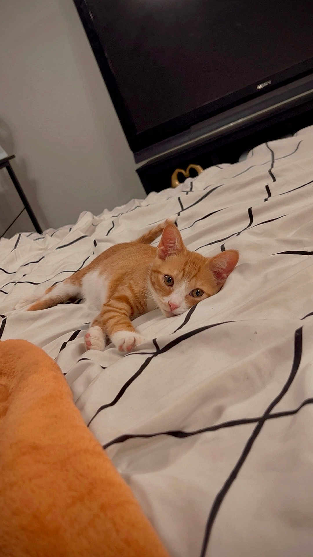 Milo