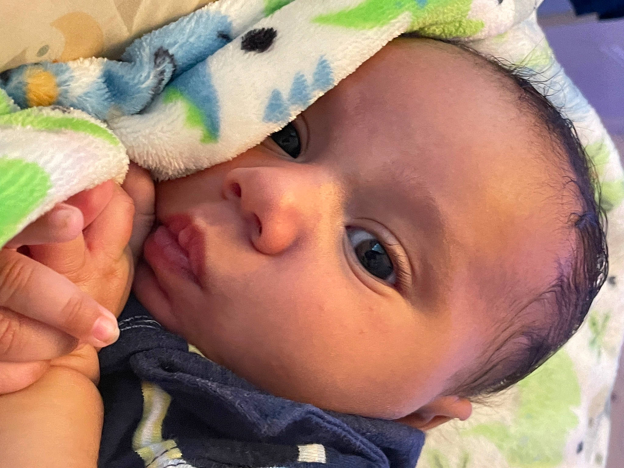 Louis joined the competition — help win amazing prizes! baby, cap, cheek, eye, eyebrow, eyelash, face, green, hairstyle, happy, headgear, iris, lip, mouth, nose, organ, people_in_nature, person, plant, skin