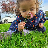 Daniela is registered to the contest to win money with this photo: child, toddler, flower, grass, outdoor, nature, polka_dot, jacket, curly_hair, car, tree, sky, greenery, sitting, cute, playful, young_child, closeup, season_autumn, daylight