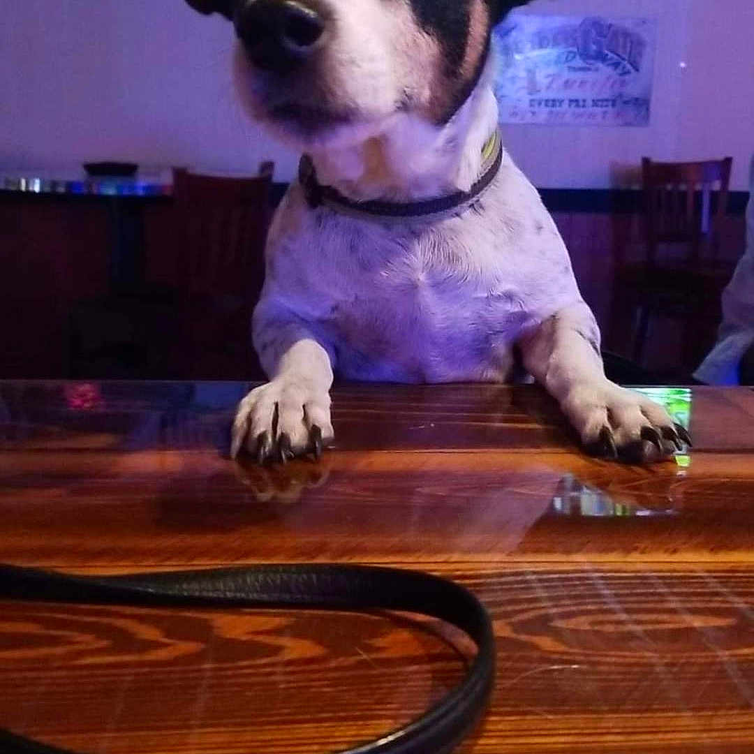 Jack
