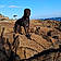 Syrius