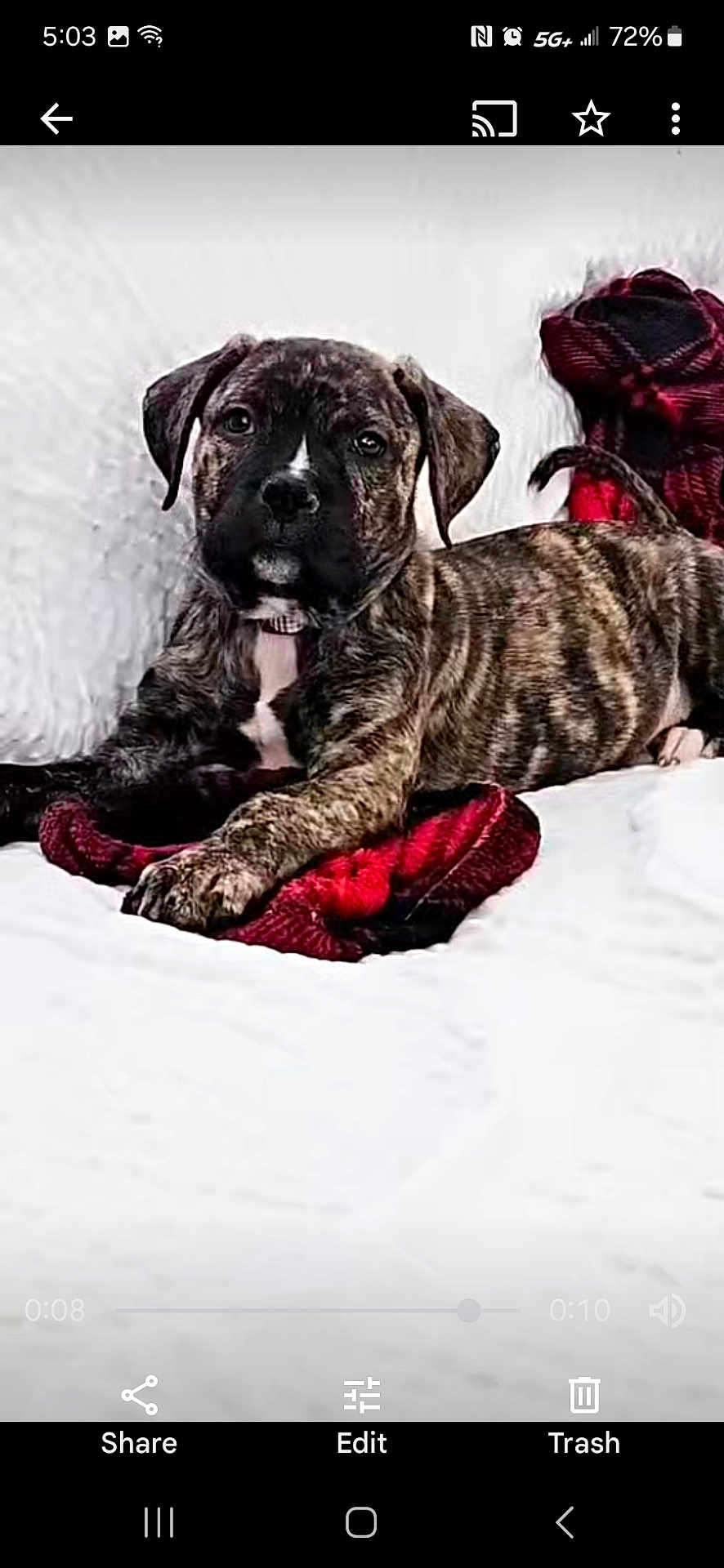 Xena