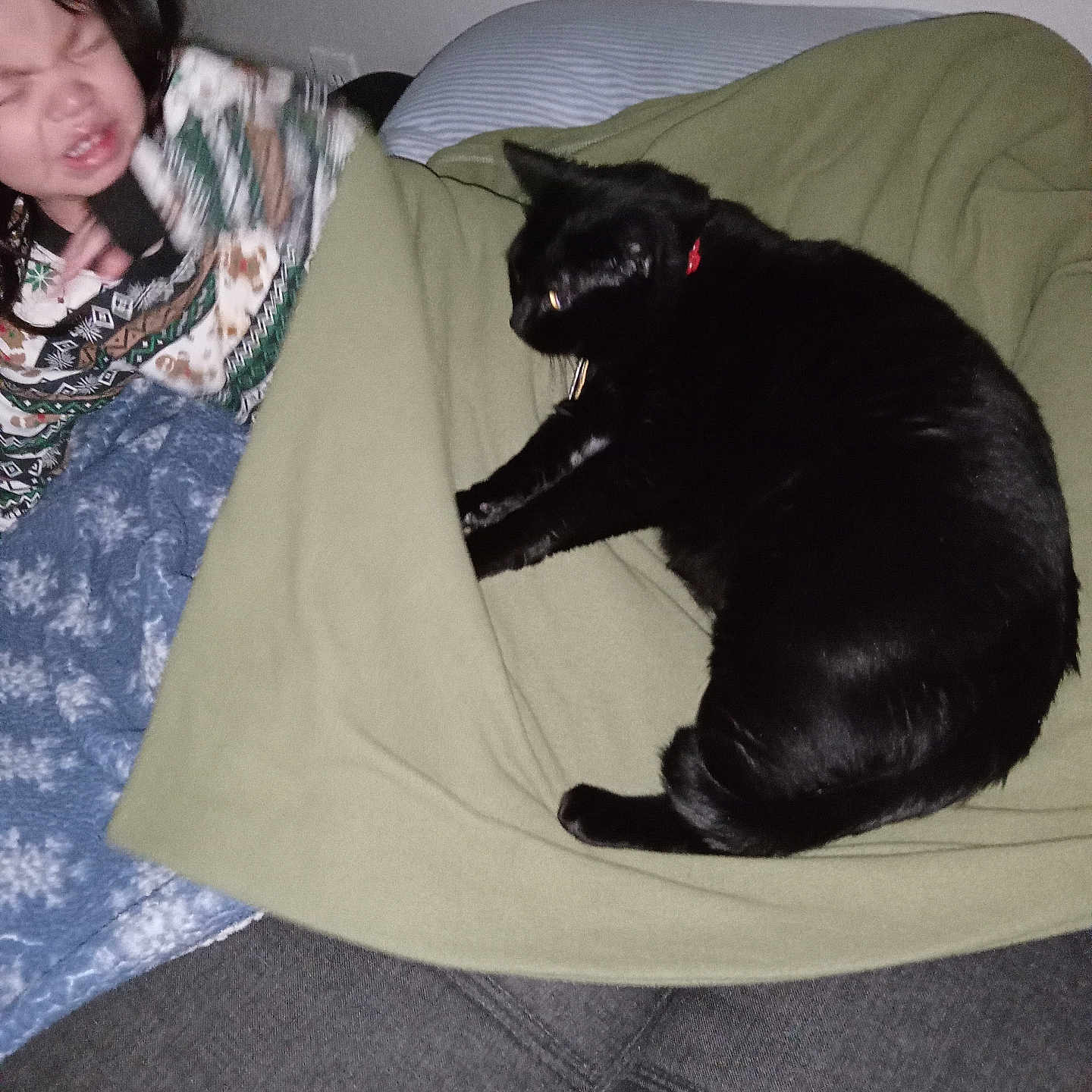 Kitta