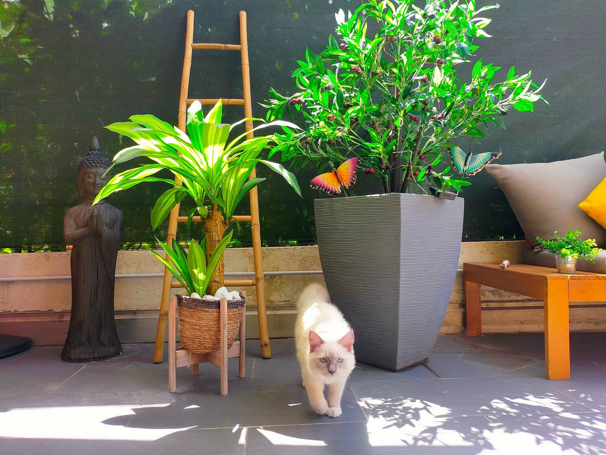 Tigris participe au concours pour gagner de l'argent avec cette photo : armrest, carnivore, cat, comfort, fawn, flowerpot, furniture, grass, grass_family, green, houseplant, interior_design, outdoor_furniture, plant, property, terrestrial_plant, tints_and_shades, vase, wood, yellow