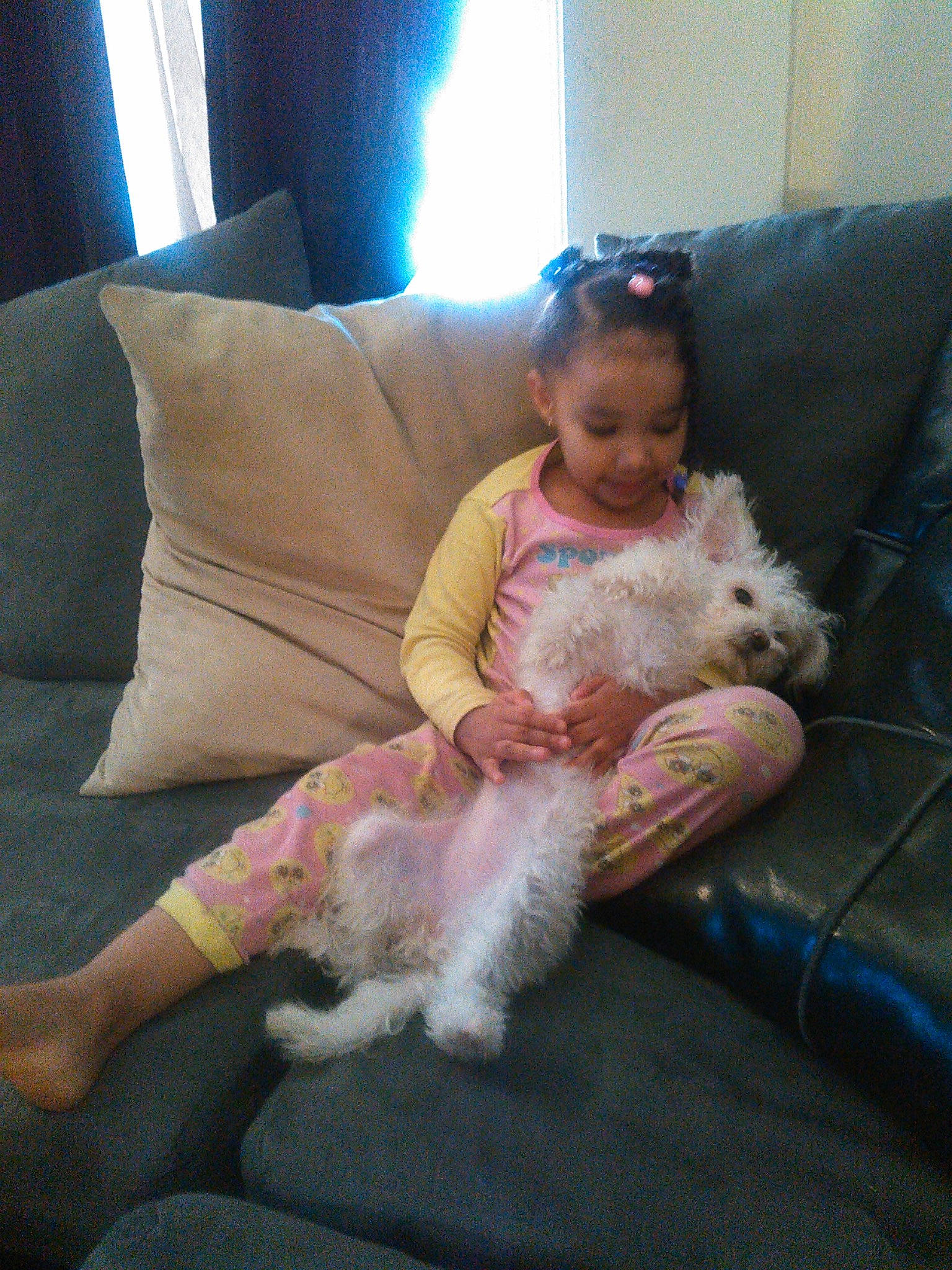 Honesty is registered to the contest to win money with this photo: baby, barefoot, carnivore, child, comfort, companion_dog, couch, dog_breed, facial_expression, fawn, flooring, fun, fur, human_leg, lap, person, picture_frame, pillow, skin, toddler